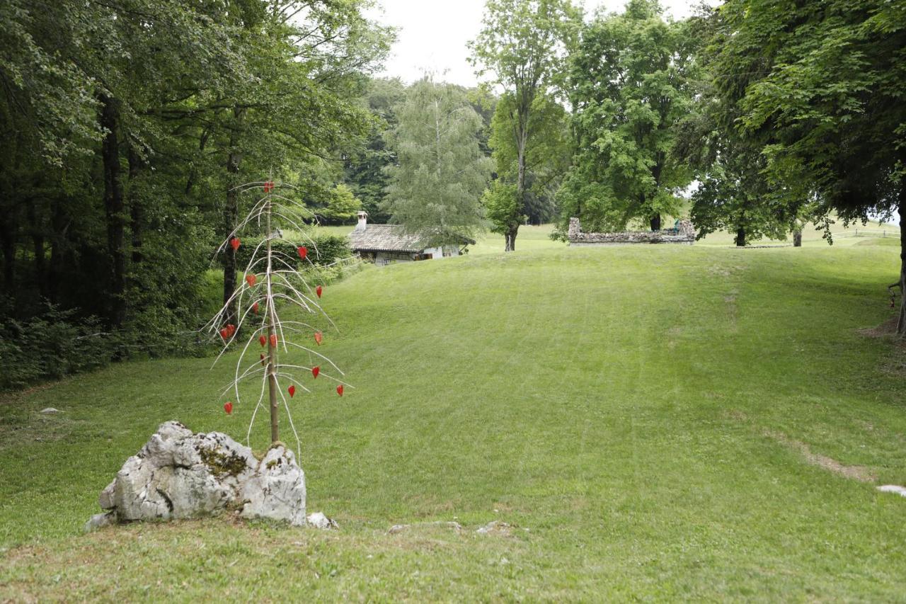 Baita Tana Da L'Ors Villa Forgaria nel Friuli Dış mekan fotoğraf