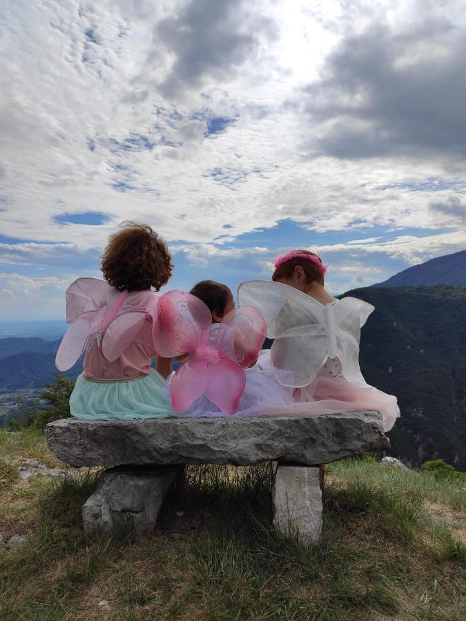 Baita Tana Da L'Ors Villa Forgaria nel Friuli Dış mekan fotoğraf