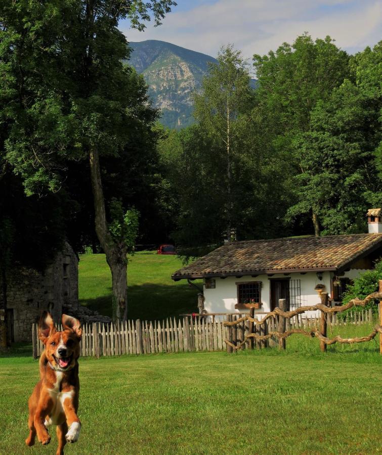 Baita Tana Da L'Ors Villa Forgaria nel Friuli Dış mekan fotoğraf