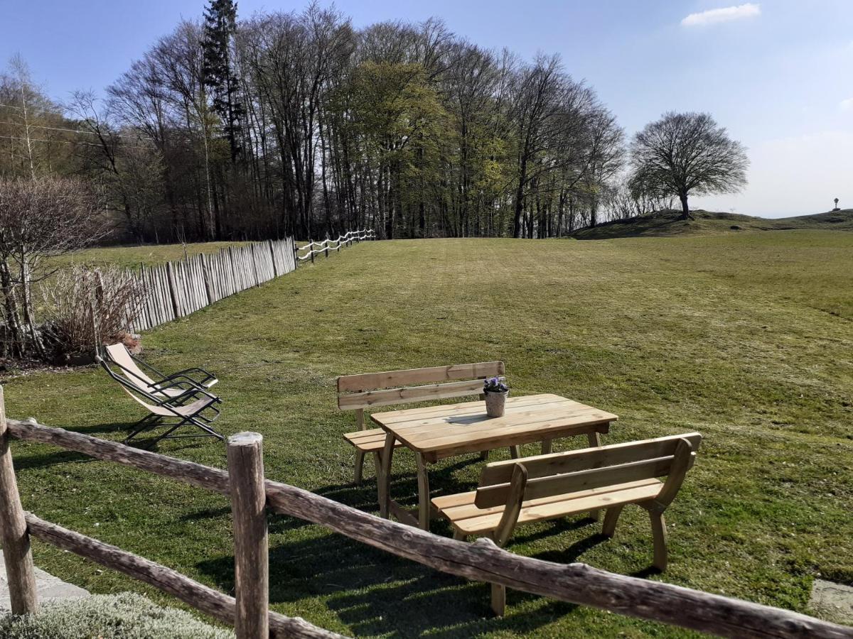 Baita Tana Da L'Ors Villa Forgaria nel Friuli Dış mekan fotoğraf