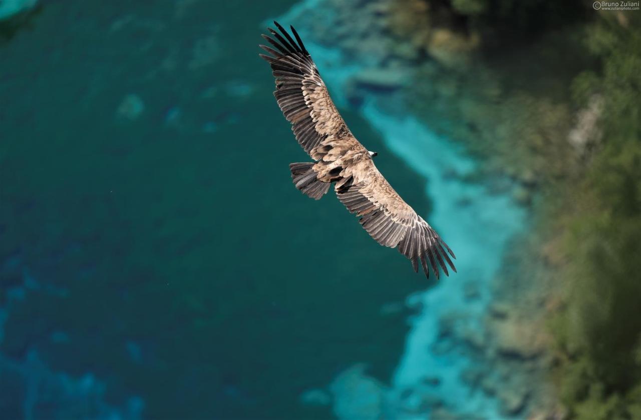 Baita Tana Da L'Ors Villa Forgaria nel Friuli Dış mekan fotoğraf