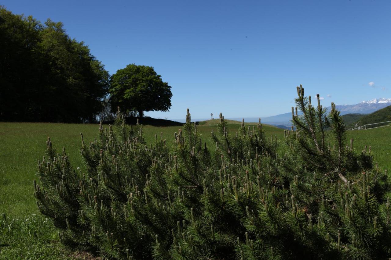 Baita Tana Da L'Ors Villa Forgaria nel Friuli Dış mekan fotoğraf