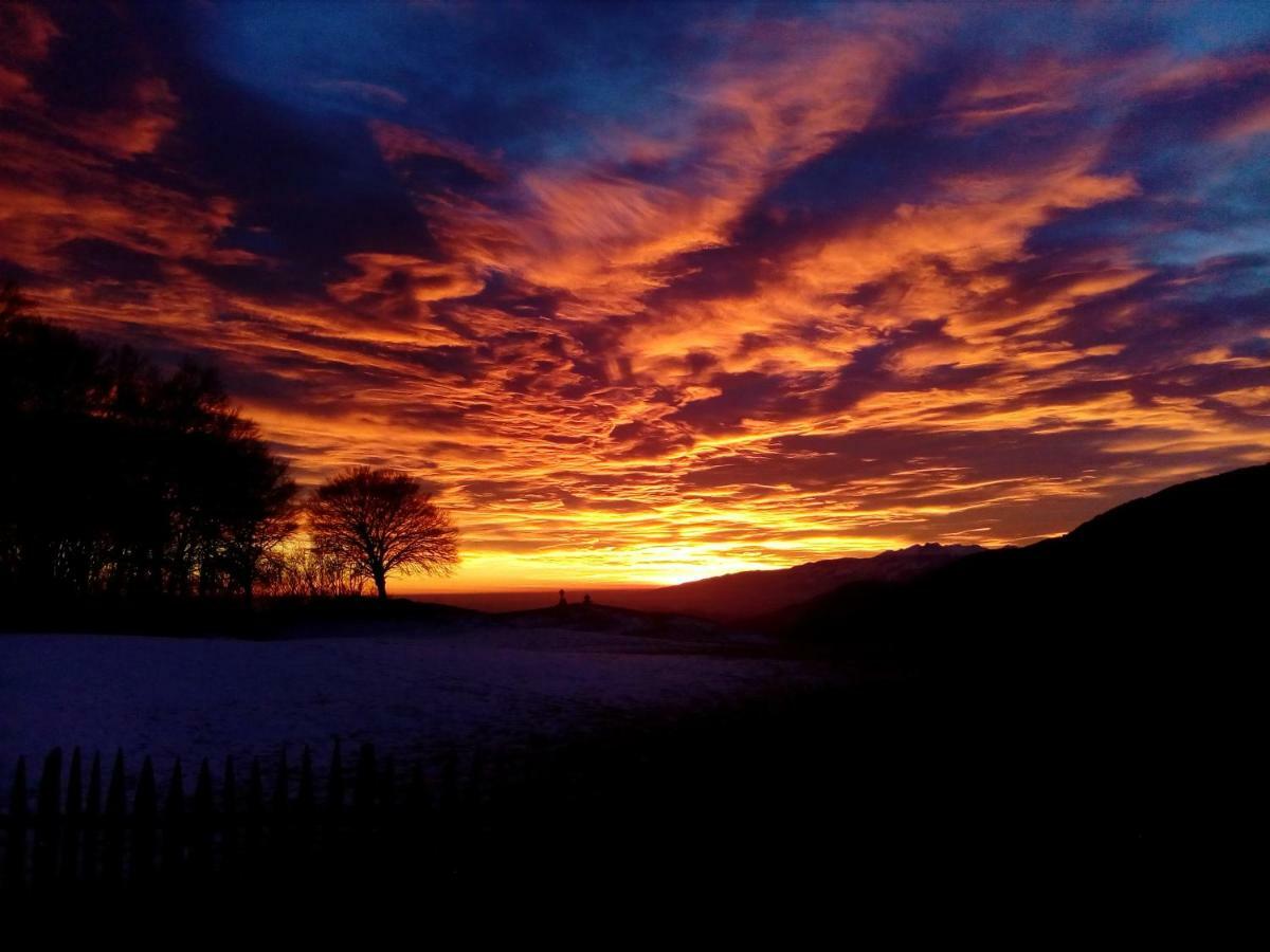 Baita Tana Da L'Ors Villa Forgaria nel Friuli Dış mekan fotoğraf