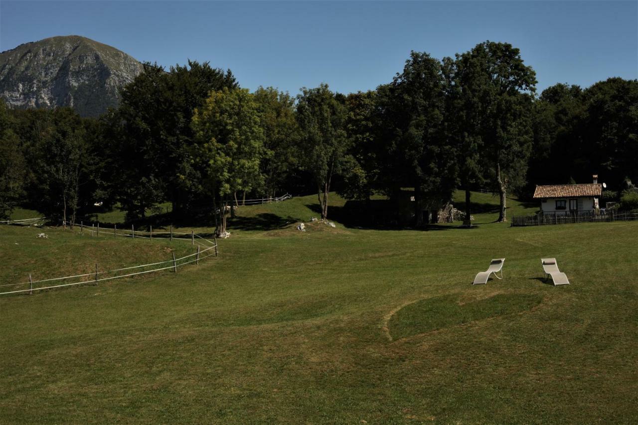 Baita Tana Da L'Ors Villa Forgaria nel Friuli Dış mekan fotoğraf