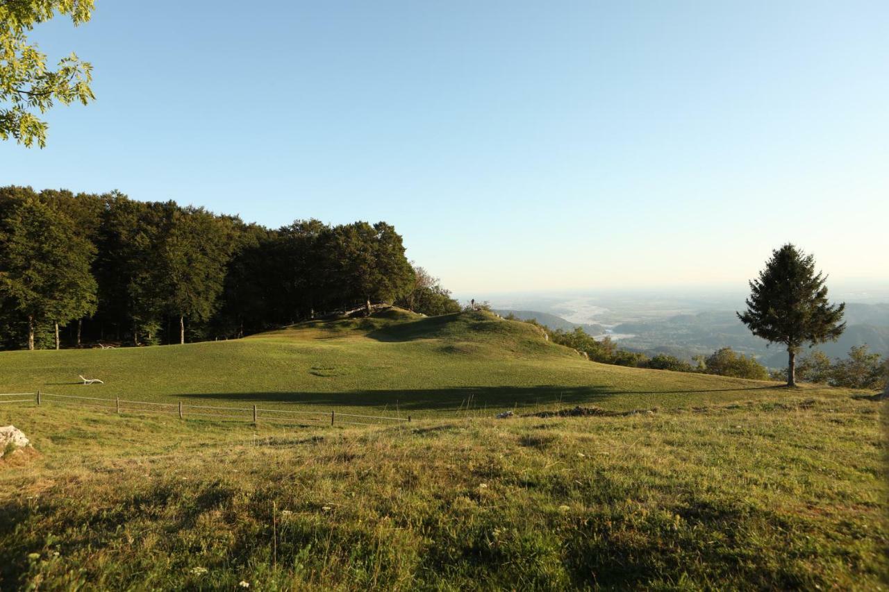 Baita Tana Da L'Ors Villa Forgaria nel Friuli Dış mekan fotoğraf